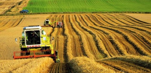 Türkiye'nin Ekonomik Coğrafyası: Tarım