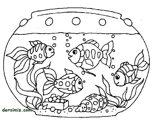la state freshwater fish coloring pages - photo #34