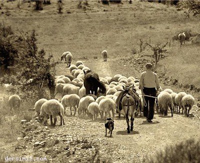 Tüccar Olan Çoban Masalı