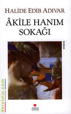Âkıle Hanım Sokağı Romanı