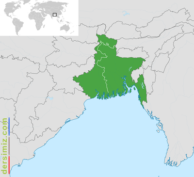 Bengal Blgesi