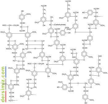 Lignin (Linyin)