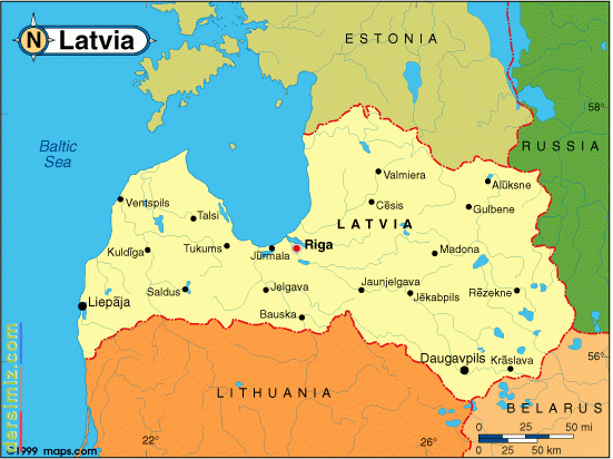 Litvanya Devleti
