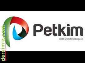 Petkim Nedir?