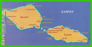 Bat Samoa