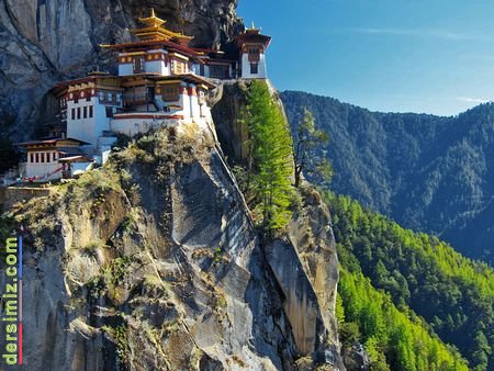 Bhutan Devleti