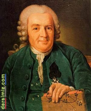 Carolus Linnaeus Kimdir?