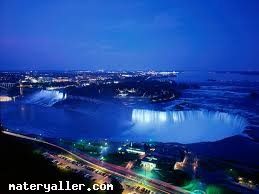 Niagara elalesi