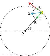 Asal Hz Nedir?