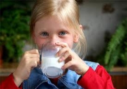İlköğretim öğrencilerine ücretsiz süt dağıtımı