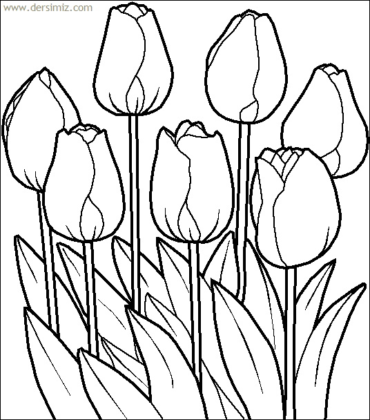 Çiçekler boyama resmi