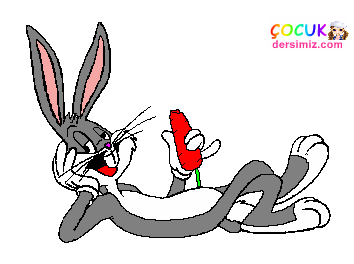 tavşan