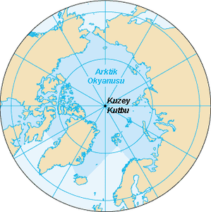Arktik Okyanusu (Kuzey Buz Denizi)