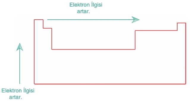 Elektron İlgisi Nedir?