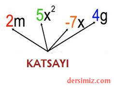 Katsay Nedir?